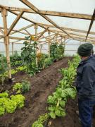 Productora de Porvenir lidera transición agroecológica en Tierra del Fuego
