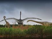 Huellas, IA y evolución: un hallazgo podría revelar algo inesperado sobre el origen de las aves y los dinosaurios