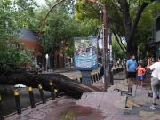 Temporal en Mendoza: granizo, inundaciones, autos arrastrados y el dramático rescate de un operario en una retroexcavadora volcada