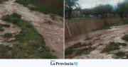 Fuerte temporal en Mendoza: tres niños fueron rescatados y hay miles de usuarios sin luz