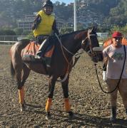 Reniel Rondón: “Si superamos detalles de la partida, este ejemplar mejorará mucho en La Rinconada”