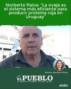 Norberto Paiva: “La oveja es el sistema más eficiente para producir proteína roja en Uruguay” ‣ Martin Ferreira Pinto