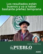 Los resultados están buenos y va a haber bastante preñez temprana ‣ Martin Ferreira Pinto
