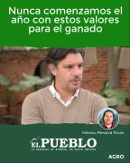 Nunca comenzamos el año con estos valores para el ganado ‣ Martin Ferreira Pinto