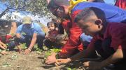Más de mil plantas sembradas durante jornadas ecosocialistas en centros educativos de Valencia