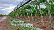 Tras las fuertes tormentas, piden extrender la emergencia agropecuaria hasta el 2027