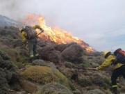El Gobierno amplió la emergencia ígnea e incorporó a Santa Cruz a las provincias afectadas por el fuego