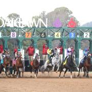 Todo listo para que el hipódromo de Oaklawn Park reciba pruebas que otorgan puntos en la ruta al Kentucky Derby y Kentucky Oaks
