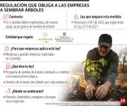 ¿De qué trata la nueva regulación que obliga a las empresas a sembrar varios árboles?