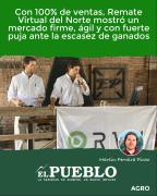 Con 100% de ventas, Remate Virtual del Norte mostró un mercado firme, ágil y con fuerte puja ante la escasez de ganados ‣ Martin Ferreira Pinto
