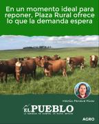 En un momento ideal para reponer, Plaza Rural ofrece lo que la demanda espera ‣ Martin Ferreira Pinto