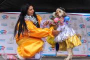 Mascotas se visten de pepinos y chutas, íconos del carnaval andino en Bolivia