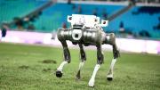 Perros robots harán labores de seguridad en México durante el Mundial de Fútbol 2026 (+Video)