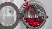 Colocar pétalos de rosas en el lavarropas: por qué recomiendan hacerlo y para qué sirve