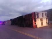 Un camión con ganado vacuno volcó en la Ruta 25