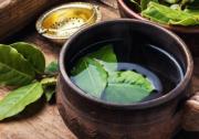 Té de laurel: qué ocurre en tu organismo si lo tomás en ayunas todos los días