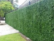 Los cercos vivos: buenos rivales de los ladrillos y las rejas