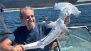 Monzeglio pidió disculpas y se reportó ante MGAP y Ambiente tras publicar foto de pesca con tiburón martillo
