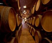 Japón anunció el retiro de 40.000 unidades de vino chileno por aditivo no autorizado