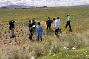 Juliaca: Encuentran cadáver de hombre en sembrío de papa en San Miguel –