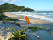 El pueblo del sur de Brasil lejos del ruido ideal para relajarse en la playa: descubrí Garopaba