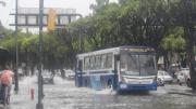 Fuertes lluvias agravan el tráfico en Guayaquil: estos son los sectores más congestionados