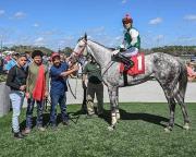 ¡Oficial! Ariana Valentina se convierte en el primer ejemplar ganador del segundo siglo de carreras en Tampa Bay Downs
