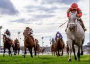 Yegua chilena con José Luis Ortiz se lleva el Mardi Grass Stakes en Fair Grounds