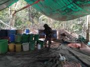 Incautan más de 4,7 toneladas de marihuana y 79 kilos de cocaína durante Plan Carnaval