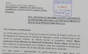 Diputada por Tarija solicita informe sobre ejecución de más de Bs 86 millones del Programa Apícola Nacional