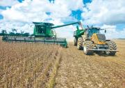 Tres decretos fijan ajustes para soya, petróleo y energías limpias