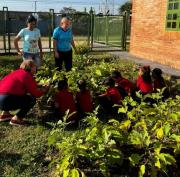 “CEIM Morros de Macaira” participó en la jornada de cosecha del Plan Agroproductivo