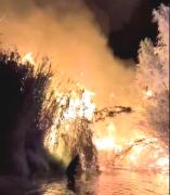 Hace 15 años que Paihuano no tenía un incendio en La Rinconada y Chañar Blanco