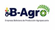 Identifican presunto daño económico de Bs 300 millones en la empresa estatal B Agro