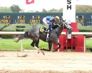 Haulin Ice repite con Francisco Arrieta el $150,000 Downthedustyroad Breeders Stakes