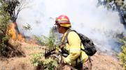 Conaf advierte que riesgo de incendios forestales en Biobío se mantendrá hasta abril