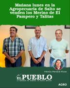 Mañana lunes en la Agropecuaria de Salto se venden los Merino de El Pampero y Talitas ‣ Martin Ferreira Pinto