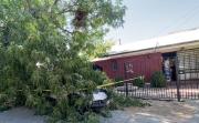 Caída de árbol sobre vehículo generó alarma en Villa San Agustín