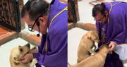 Sacerdote enternece al saludar a los perritos que lo esperan al finalizar la misa
