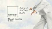 Colores tendencia 2026: Cloud Dancer y greige dominan la paleta de diseño de interiores
