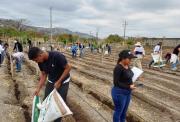Investigación de la UG impulsa mejoradores de suelo en la costa ecuatoriana