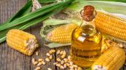 El aceite de maíz tiene grandes beneficios y ayuda a prevenir enfermedades circulatorias y vasculares