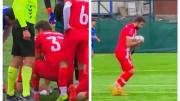 El impactante viral en Turquía: Gaviota recibe pelotazo y futbolista la revive con RCP en pleno partido