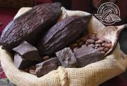 ORO Y PLATA PARA BOLIVIA EN ‘CACAO EXCELLENCE AWARDS’
