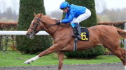 Godolphin suma otro prospecto al Kentucky Derby con triunfo de Hidden Force
