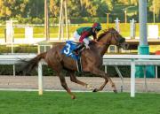 Grand Slam Smile, llega para conquistar su noveno triunfo en carreras de stakes este sábado Santa Anita Park