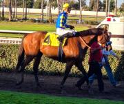 Por primera vez en 30 años un purasangre norteamericano podría participar en el Epsom Derby