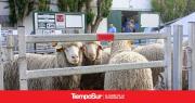 Comienza este jueves la Expo Rural 2026 en la Sociedad Rural