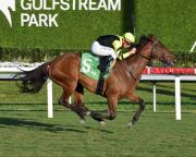 Luis Sáez y Gallant Greta: El rugido de la revancha en el The Very One Stakes G3