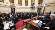 El Senado debate el Régimen Penal Juvenil